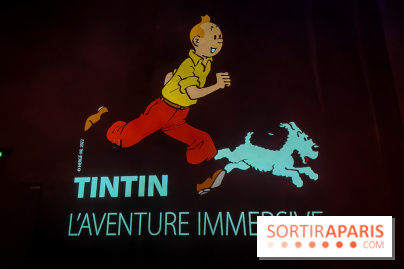 Tintin, l'aventure immersive à l'Atelier des Lumières : l'exposition insolite à vivre - nos photos