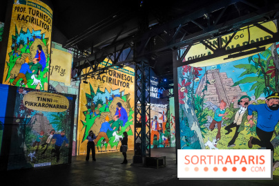 Tintin, l'aventure immersive à l'Atelier des Lumières : l'exposition insolite à vivre - nos photos