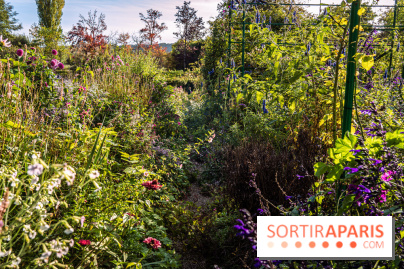Les Jardins de la Maison Claude Monet à l'automne