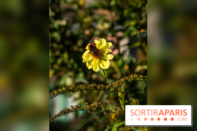 Les Jardins de la Maison Claude Monet à l'automne