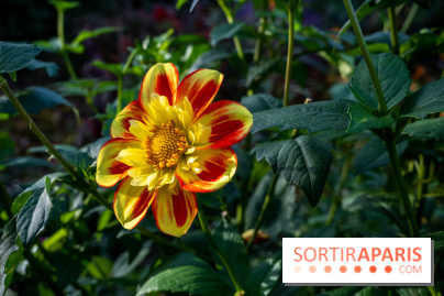 Les Jardins de la Maison Claude Monet à l'automne