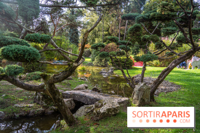Le Jardin Japonais secret d'Aincourt