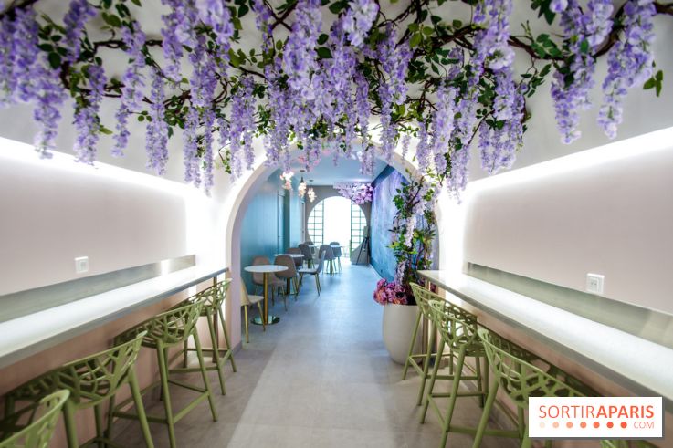 Hanami Tea Time, nos photos