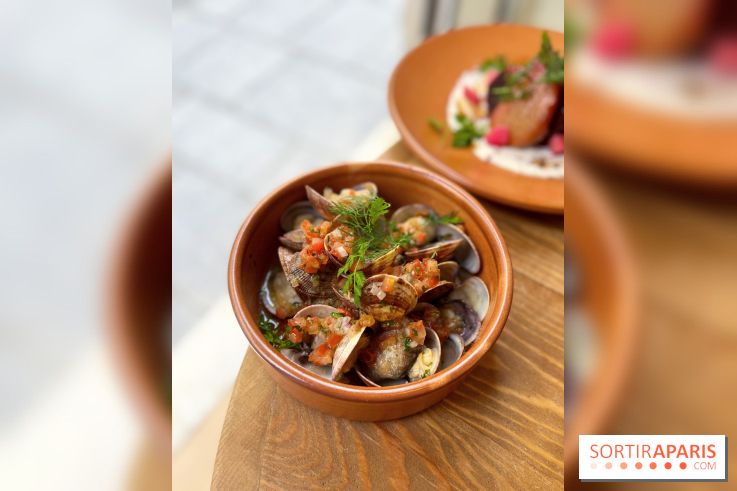 Restaurant méditerranéen Dune - Vongole