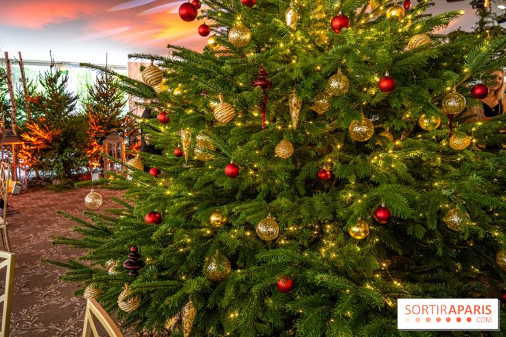 Visuels Noël - sapin