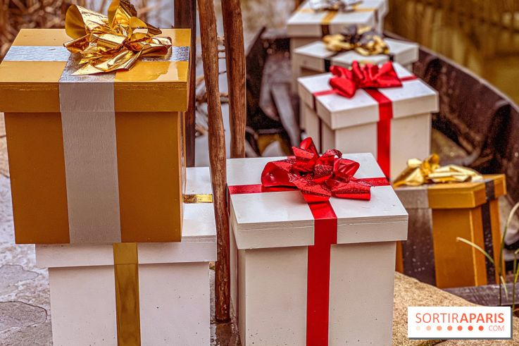 Noël Paris visuels - cadeau Noël