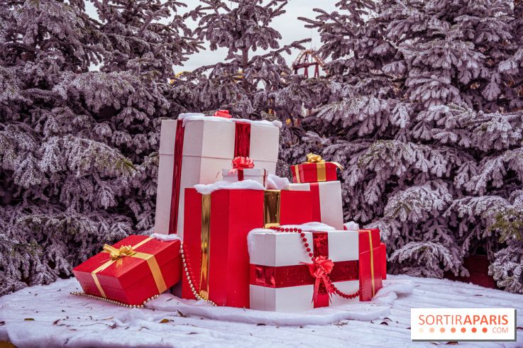 Noël Paris visuels - cadeau Noël