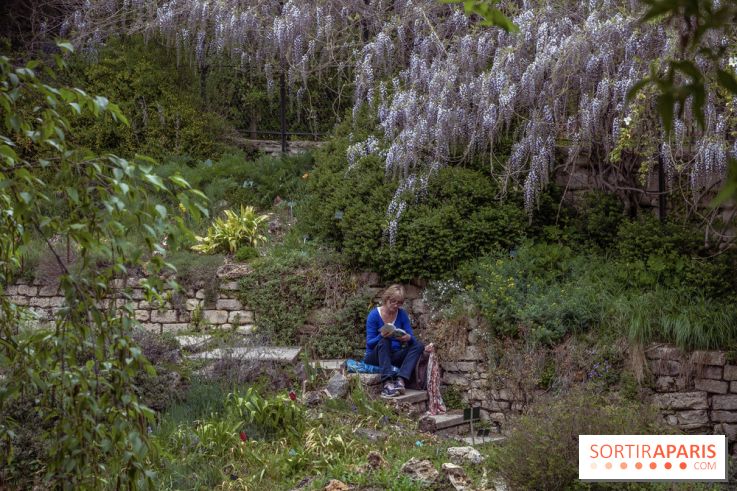 Le Jardin Alpin caché du Jardin des Plantes