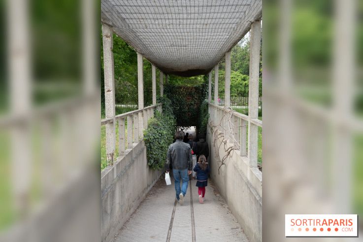 Le Jardin Alpin caché du Jardin des Plantes