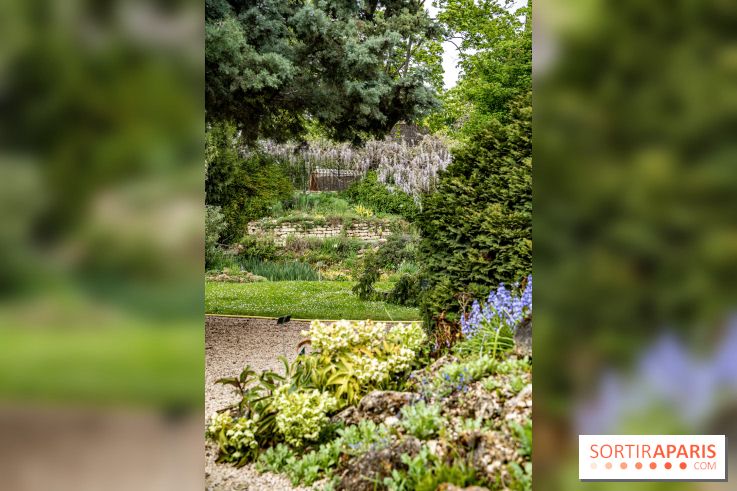 Le Jardin Alpin caché du Jardin des Plantes