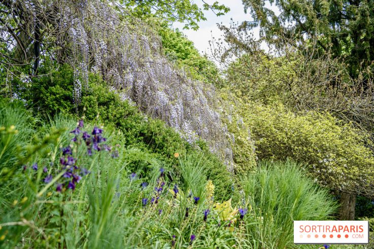 Le Jardin Alpin caché du Jardin des Plantes