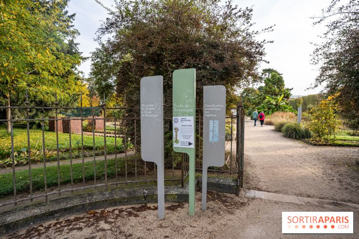 Le Jardin Alpin caché du Jardin des Plantes