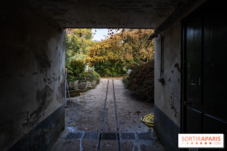 Le Jardin Alpin caché du Jardin des Plantes