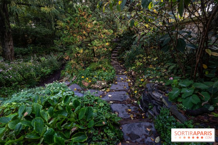 Le Jardin Alpin caché du Jardin des Plantes