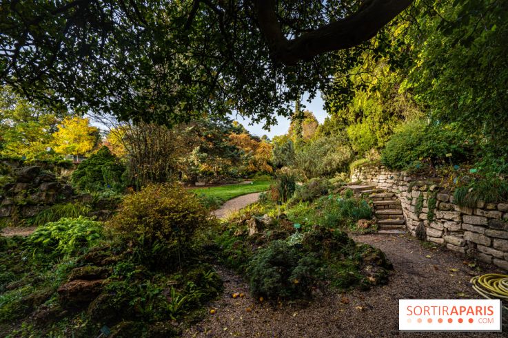 Le Jardin Alpin caché du Jardin des Plantes