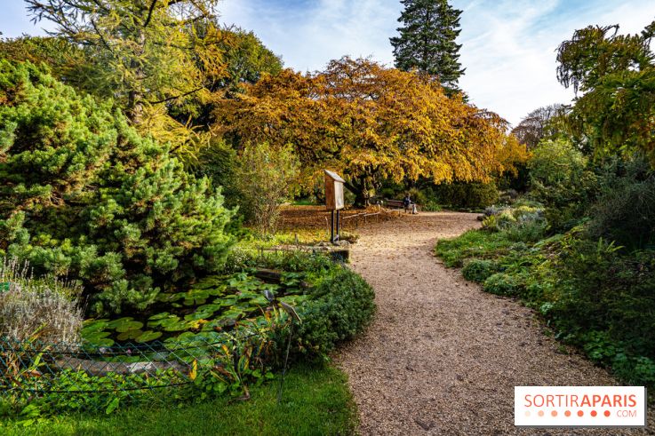 Le Jardin Alpin caché du Jardin des Plantes