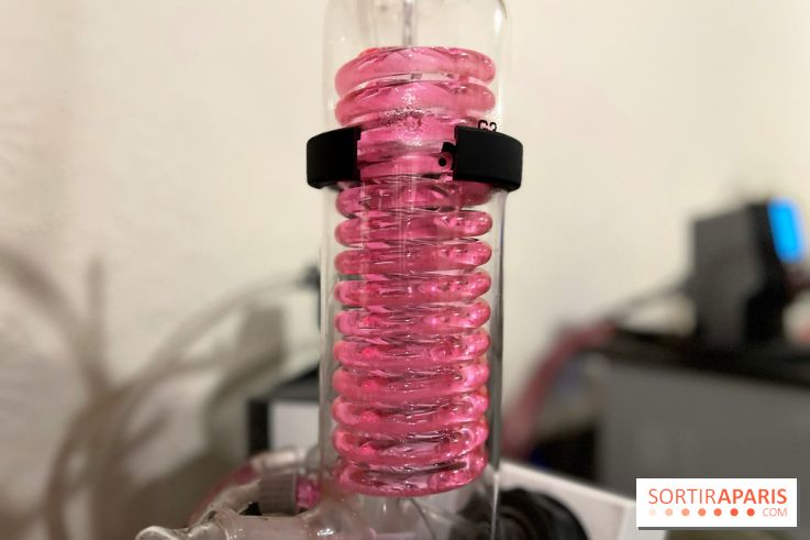 Atelier création de gin à la distillerie Baccae