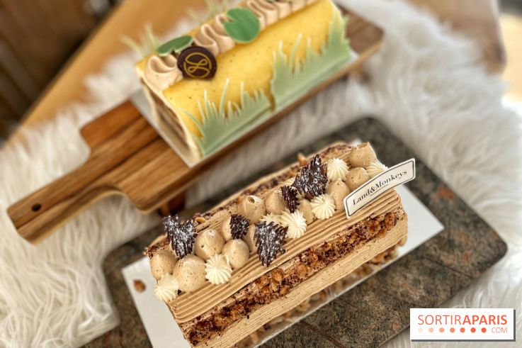 Bûches de Noël végétales des maisons Landemaine et Land&Monkeys