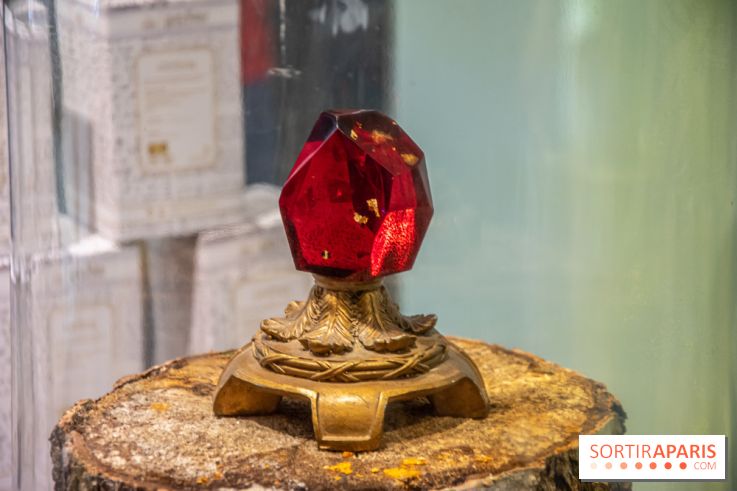 Harry Potter : nos photos du pop-up store Arribas, spécialisé dans le verre, sur les Champs-Elysées