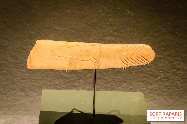 Arts et Préhistoire, l'exposition de peintures rupestres au Musée de l'Homme - nos photos