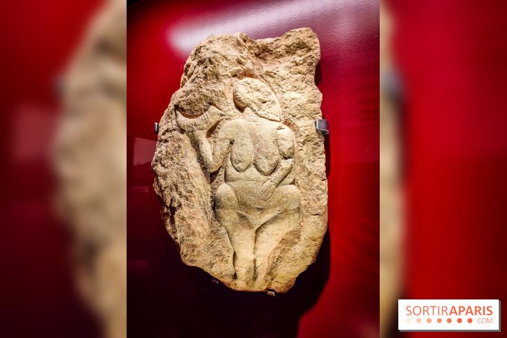 Arts et Préhistoire, l'exposition de peintures rupestres au Musée de l'Homme - nos photos