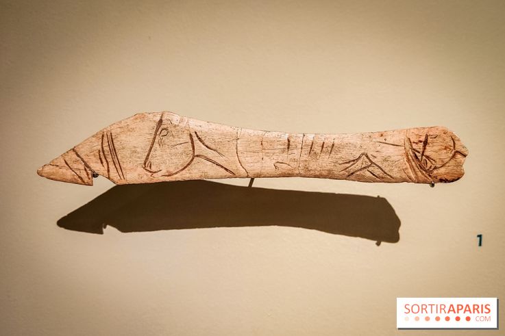 Arts et Préhistoire, l'exposition de peintures rupestres au Musée de l'Homme - nos photos