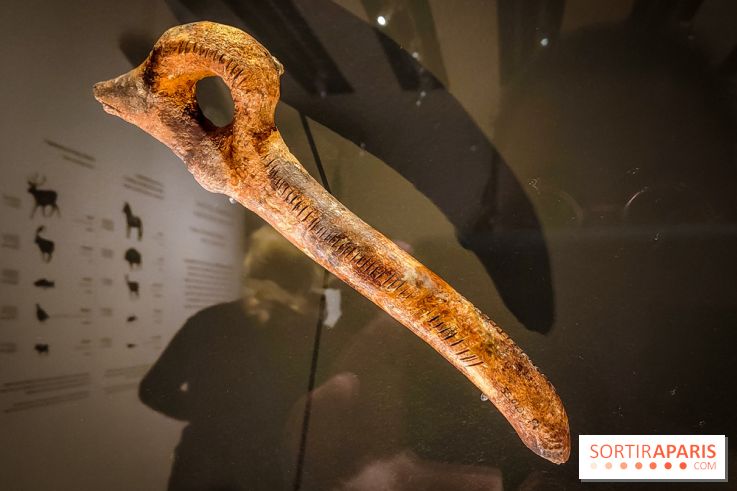 Arts et Préhistoire, l'exposition de peintures rupestres au Musée de l'Homme - nos photos