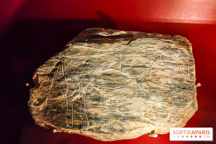 Arts et Préhistoire, l'exposition de peintures rupestres au Musée de l'Homme - nos photos