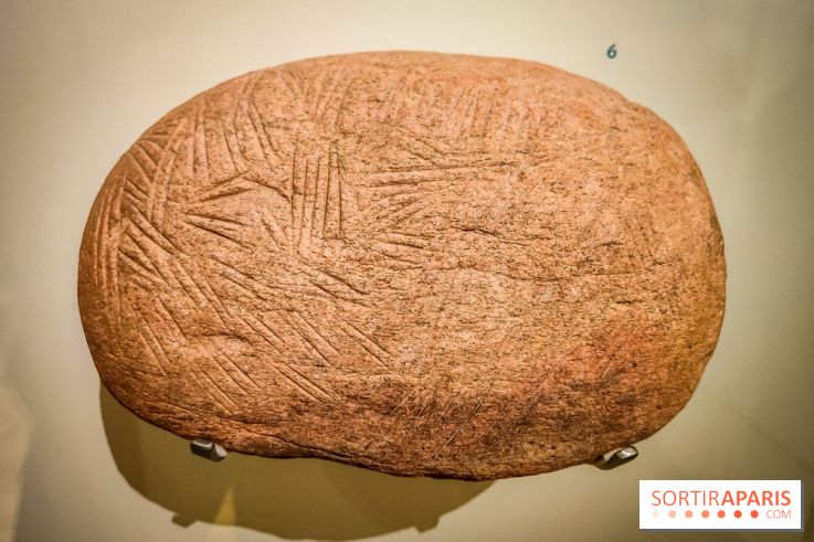 Arts et Préhistoire, l'exposition de peintures rupestres au Musée de l'Homme - nos photos