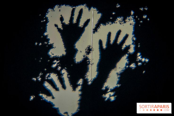 Arts et Préhistoire, l'exposition de peintures rupestres au Musée de l'Homme - nos photos