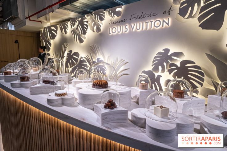 Las mejores ofertas en Joyería de Moda Louis Vuitton