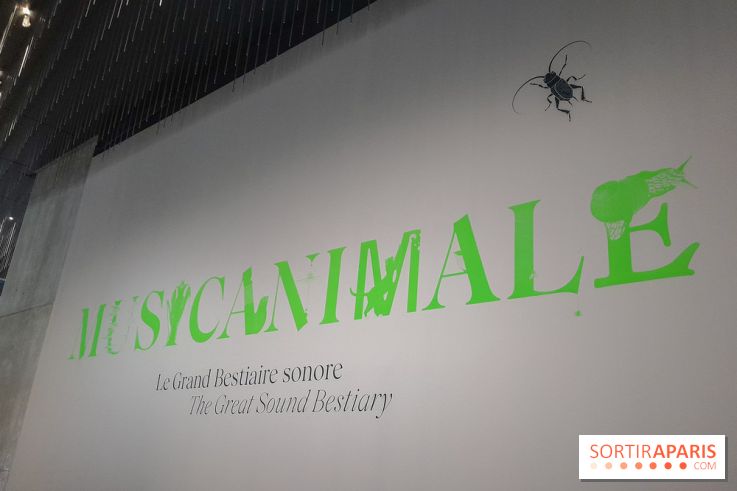 Musicanimale, l'exposition à la Philharmonie