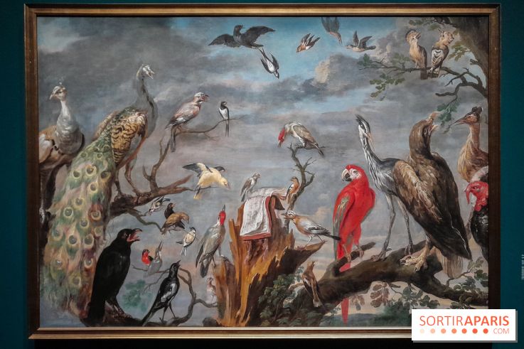 Musicanimale, l'exposition à la Philharmonie