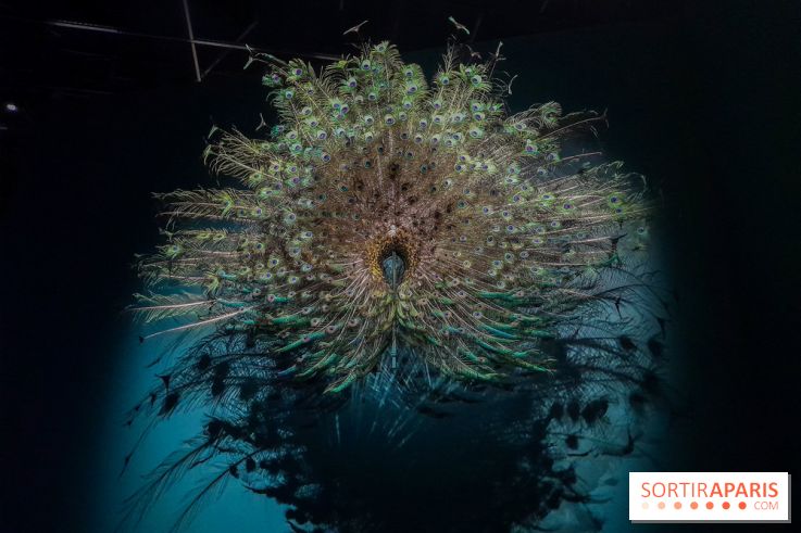 Musicanimale, l'exposition à la Philharmonie