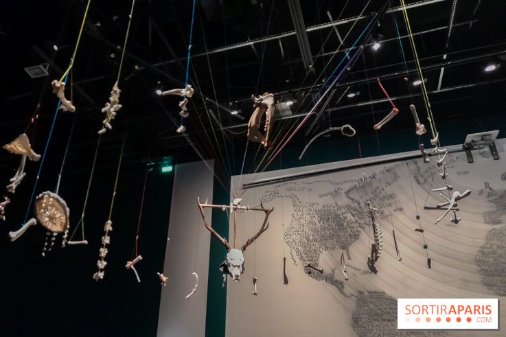 Musicanimale, l'exposition à la Philharmonie