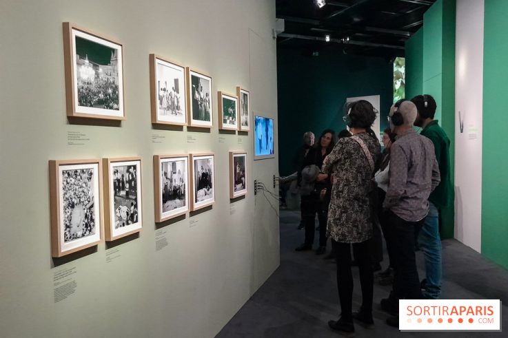 Musicanimale, l'exposition à la Philharmonie