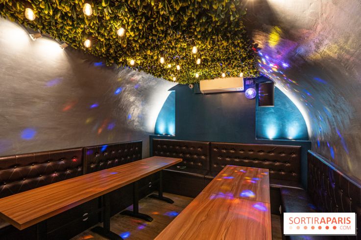 Dimdimsum Paris, le restaurant de vapeurs - karaoké