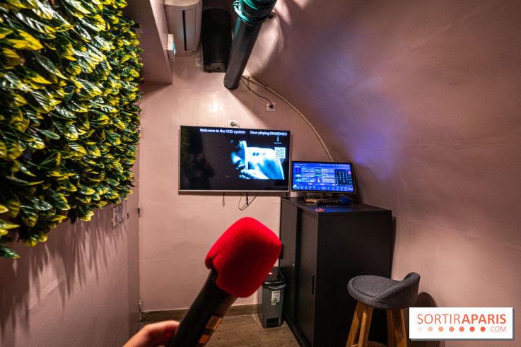 Dimdimsum Paris, le restaurant de vapeurs - karaoké