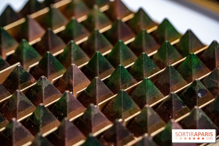 Jade Genin Chocolaterie Paris - cônes de sapin