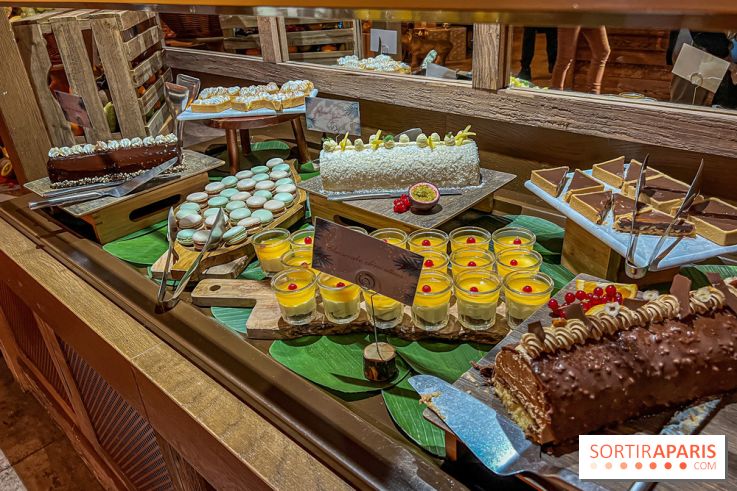 Réveillon de Noël et du Nouvel an au Parc Astérix 