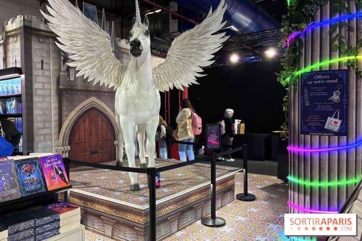 Salon du livre et de la presse jeunesse de Montreuil  - IMG 1227