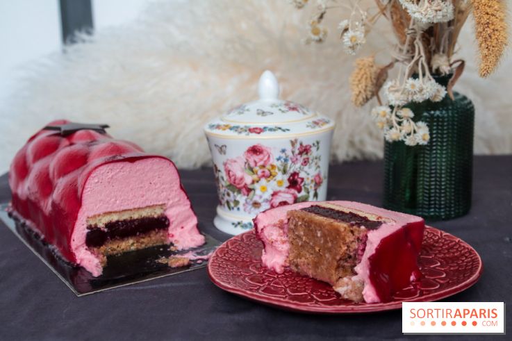 Les bûches de Noël 2022 d'oh oui!, la pâtisserie sans sucres IG bas- buche fruits rouges