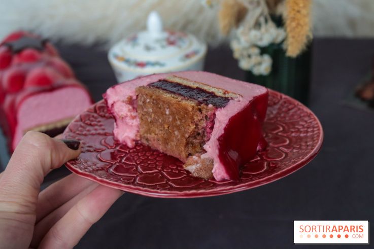 Les bûches de Noël 2022 d'oh oui!, la pâtisserie sans sucres IG bas- buche fruits rouges