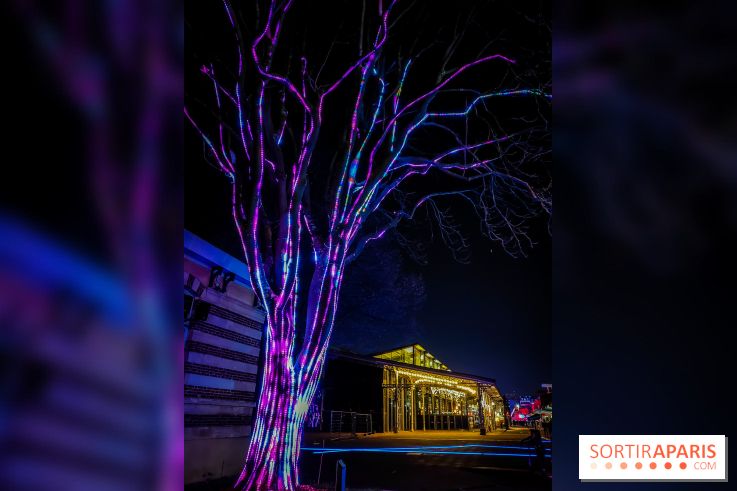 Lumières à la Villette, le parcours immersif et gratuit revient pour les fêtes