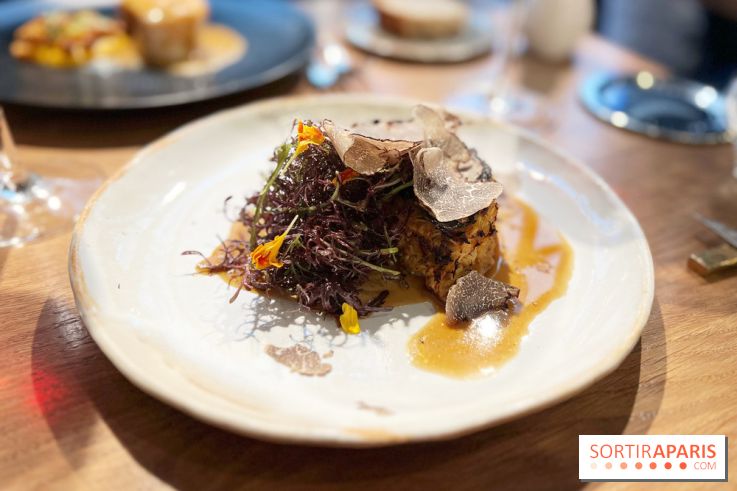 Source - Chartreuse et truffe noire