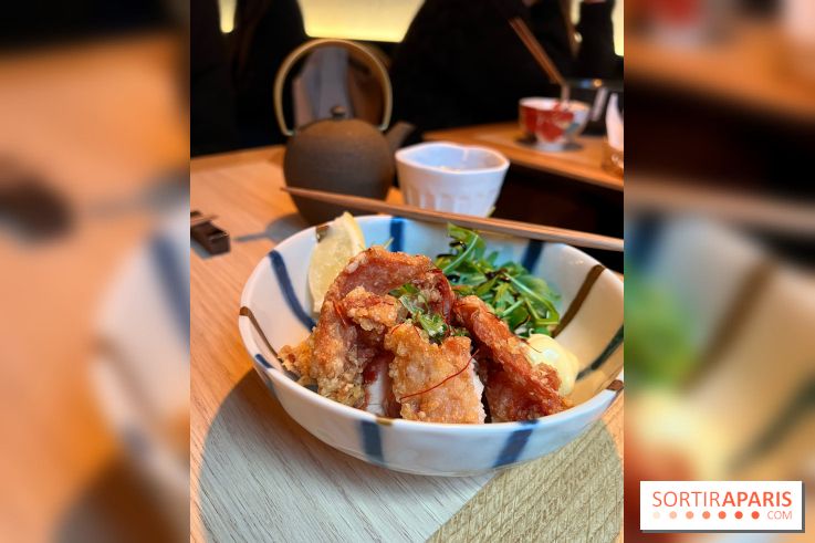 Enni Udon - Porc frit