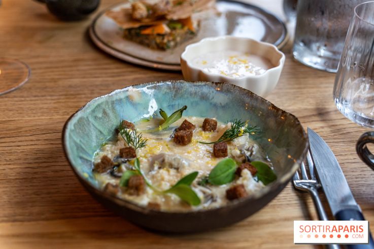 Ambos restaurant Paris - Cristina et Pierre Chomet - chou fleur - huitre