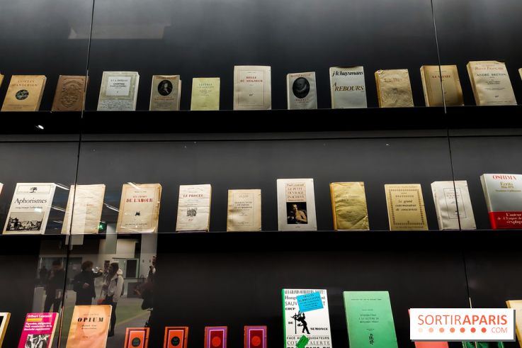 Serge Gainsbourg, le mot exact, nos photos