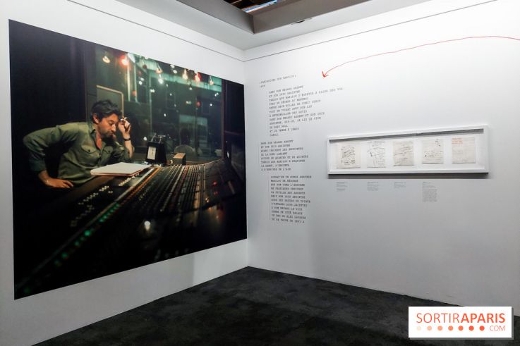 Serge Gainsbourg, le mot exact, nos photos