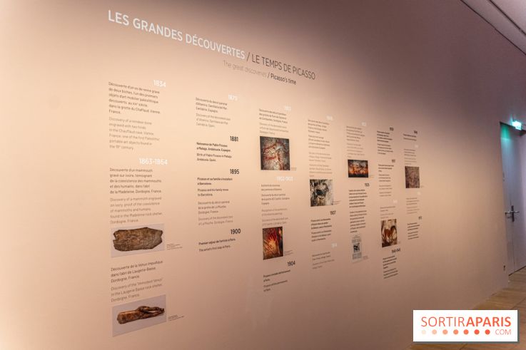 Picasso et la Préhistoire, les photos de l'exposition au Musée de l'Homme
